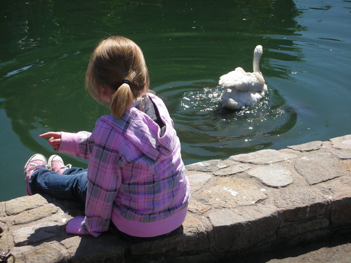 Girl and The Swan