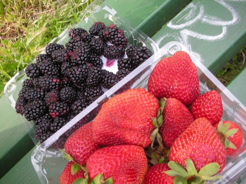 Strawberry & Blackberry